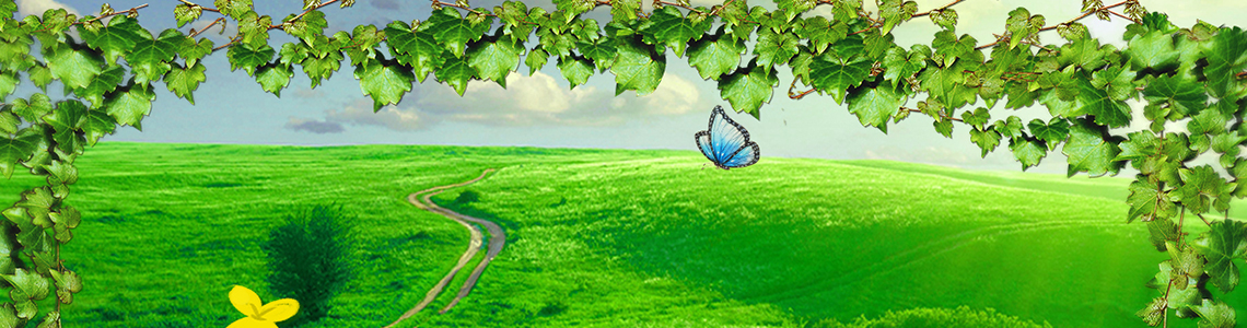 Read more about the article Irish Luck