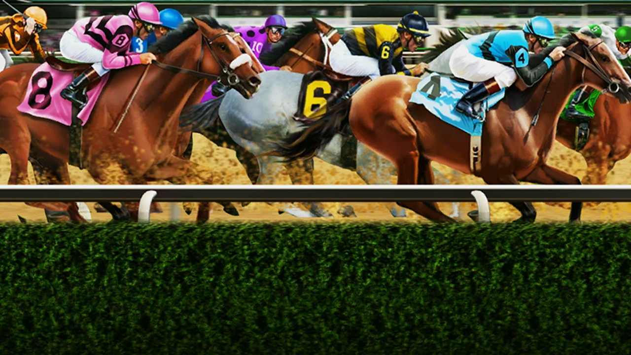 Read more about the article Best Bet